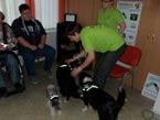 Ostrava - Klub Čaj o páté a Canisterapie