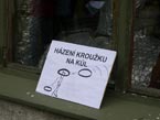 XXV. Ročník Dne zdravotně postižených
